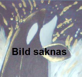Saknas